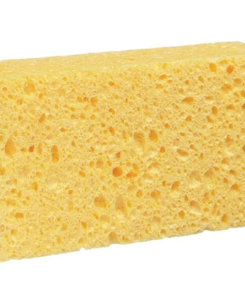 Cellulose Sponge by Ginger Lily Farms