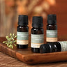 Chamomile Roman Essential Oil / 10 mL. by Mother Earth