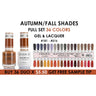 Chance Duo Brown & Grey Shades Collection / 36 Colors + Color Swatch - #181 - #216 by Cre8tion