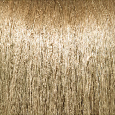 Chromasilk, Permanent Creme Color, Extra Light Blonde 10N/10N / 3 fl.oz. - 90 mL. - 86 grams by Pravana