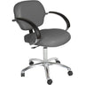 Cirrus Task Chair by Collins