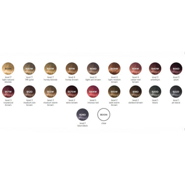 Clairol Professional Beautiful Collection - Semi-Permanent Moisturizing Hair Color - B13W Medium Warm Brown / 3 oz.