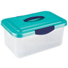 Clear Storage Container With Lid & Handle by DL Pro