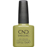 CND Shellac - Dynamic Duality Collection - Fall 2024 - Plantbound