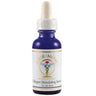 Collagen III Stimulating Serum / 1 oz. by Ayur-Medic Skincare