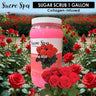 Collagen Infused Sugar Scrub - Blooming Rose / 1 Gallon by Sucre Spa