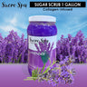 Collagen Infused Sugar Scrub - Lavender / 1 Gallon by Sucre Spa