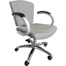 Collins Vanelle SA Task Chair / Made to Order - Ships in 4 Weeks by Collins