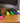 Colored Pens/Set of 5