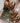Cre8tion Professional Nail Art Glitter - Color 048 / 1 oz.