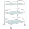 Damien 3 Shelf Medical Spa Trolley Cart