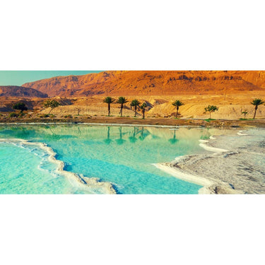 Body Masque - Dead Sea Mud + Chamomile / 16 oz.