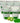 Dermwax Elite NAKED Sparkle Kiwi Hard Wax Beads / Stripless Hard Wax / 10 Lbs.