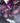 Dermwax - Galaxy Purple - Stripless Hard Wax Beads / 10 lb. Bag by Dermwax