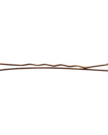 Diane Bobby Pins - Bronze / One Pound