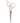 Diane Catcus 5.75" Shear