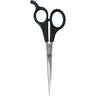 Diane Daisy 6" Shear