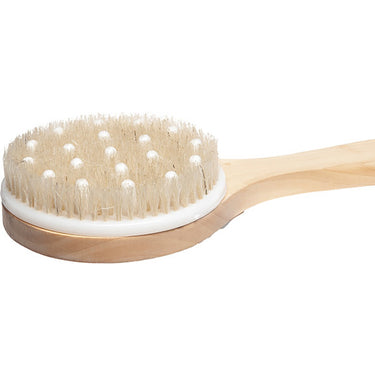 Diane Long Handle Dry Brush