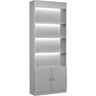 DIR Showcase LED Illumination Retail Display Cabinet - Gray