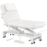 DIR VitalEarth Spa Wellness Therapy Bed - with Electrical Hand and Foot Remote Control - White / Available in White, Black, Grey and Beige