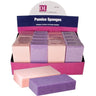 DL Professional - 20 Piece Pumice Sponge