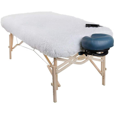 DLX™ Digital Massage Table Warmer by EarthLite