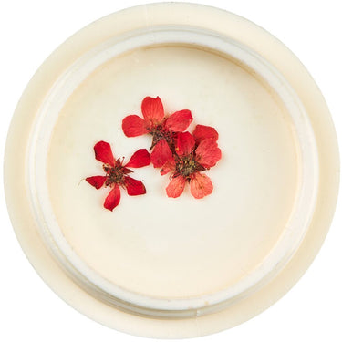 Dried Flowers for Nail Art - Pack #1 - Pack