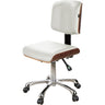 Eira Luxury Esthetic Stool with Back Support / White by Silver Spa