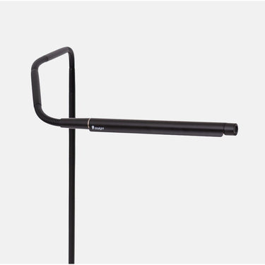 Electra Adjustable Floor Lamp / Satin Black Body with Adjustable Color Temperature