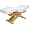 Elite Spa Electric Facial & Massage Treatment Table by Equipro
