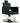 Ellison All-Purpose Reclining Salon Chair / Black by HANS Equipment
