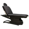 ErgoSpa Lift Back Fully Electric Massage and Spa Table by Custom Craftworks