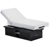 Everest Eclipse Tilt - Multi-Purpose Electric Lift Table by EarthLite