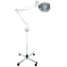 Fantasea Magnifying Lamp