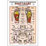Foot Reflexology Chart