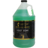 Foot Soak / 1 Gallon by Foot Spa
