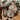 Fromm Apparel Studio Kids Hairstyling Cape - Forest Animals Print - Snap Closure / 41"L x 29"W
