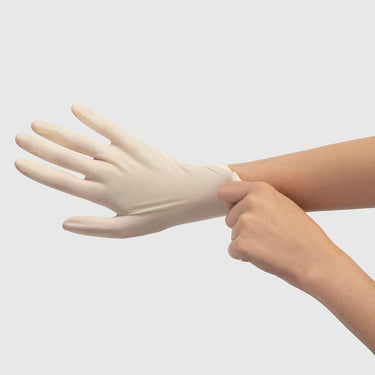 Fromm Color Studio Powder Free Latex Gloves - Large / 100 Pack