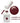 Gelish Color Coat: Rose Garden / 0.5oz. - 15mL. - Gelish Soak Off Gel Nail Polish by Nail Harmony