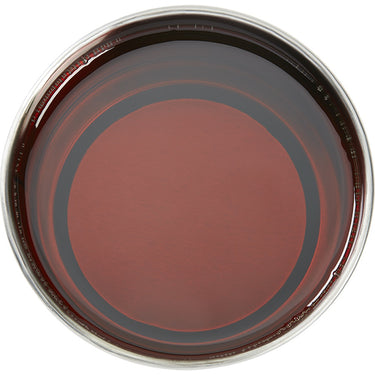 GiGi All Purpose Hard Wax / 14 oz.