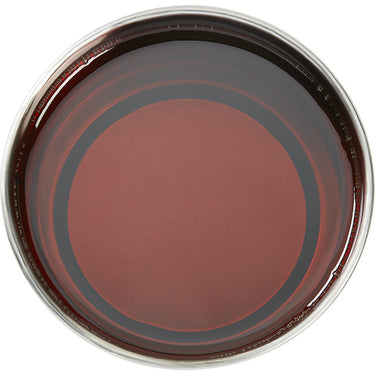 GiGi All Purpose Honee Wax / 14 oz.