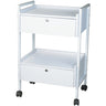 Gisela 2 Shelf + 2 Locking Drawer Beauty Trolley by Silver Spa