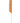 Gold Magic Pin Tail Comb