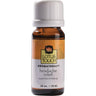Headache Relief Essential Oil Blend / 10 mL by Lotus Touch