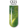 iGel 3D Cat Eye Gel Polish - #CE21 Aquila / 0.5 oz.