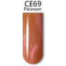 iGel 3D Cat Eye Gel Polish - #CE69 Palawan / 0.5 oz.