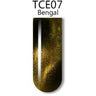 iGel 3D Cat Eye Gel Polish - #TCE07 Bengal / 0.5 oz.