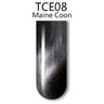 iGel 3D Cat Eye Gel Polish - #TCE08 Maine Coon / 0.5 oz.