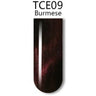 iGel 3D Cat Eye Gel Polish - #TCE09 Burmese / 0.5 oz.