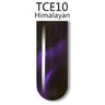 iGel 3D Cat Eye Gel Polish - #TCE10 Himalayan / 0.5 oz.